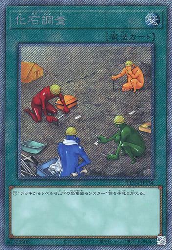 [EXSE] RC04-JP054 化石調査
