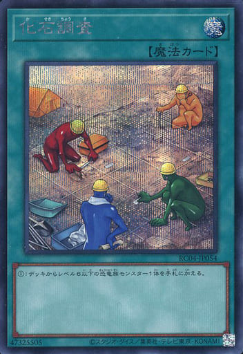 [SE] RC04-JP054 化石調査