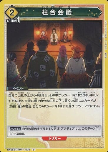 [C] UA05BT/KMY-1-030 柱合会議