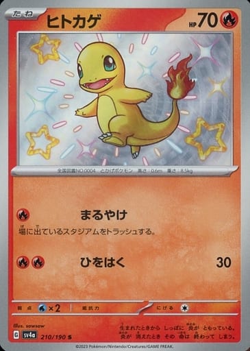 [S] 210/190 ヒトカゲ