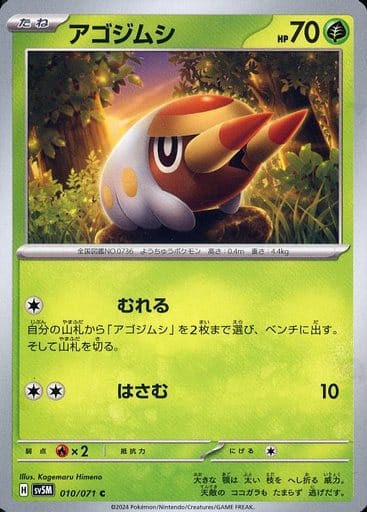 [C] 010/071 アゴジムシ